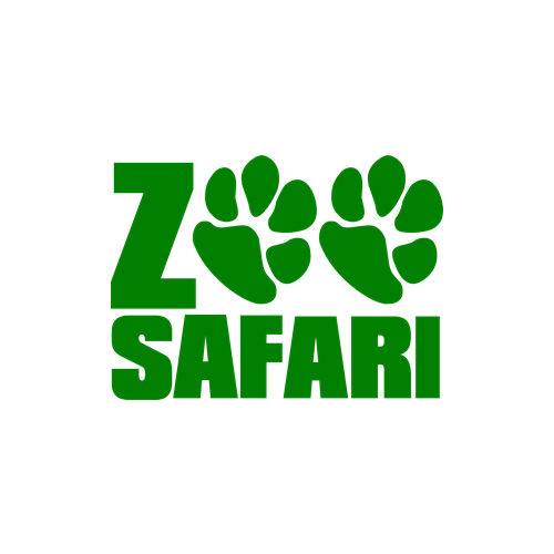 Zoo Safari