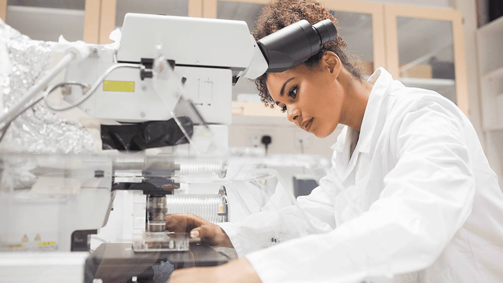 Lente como diferencial competitivo: Como criar um Catálogo Exclusivo para fidelizar grandes redes de óticas